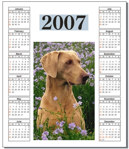 february 2011 calendar print out. With the online calendar